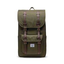 Load image into Gallery viewer, Front view of the ivy green backpack.