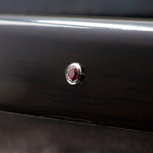 Load image into Gallery viewer, Dragon Jules Verne Solid 18K Gold Squid Limited Edition Fountain Pen w/ Rubies: Jewel on presentation case