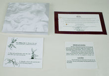 Load image into Gallery viewer, KRONE Magnum Moses Limited Edition Fountain Pen #34/48