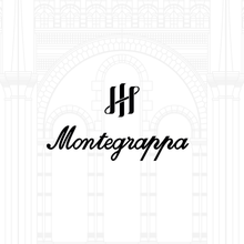 Load image into Gallery viewer, Montegrappa - Theory of Evolution Limited Edition Pen