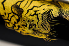 Load image into Gallery viewer, Close up of the Chinkin Tiger.