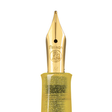 Load image into Gallery viewer, Pelikan M200 Pyrite Special Edition Fountain Pen