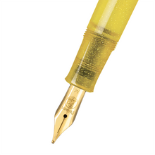 Load image into Gallery viewer, Pelikan M200 Pyrite Special Edition Fountain Pen