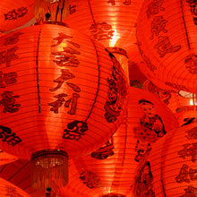 Load image into Gallery viewer, Visconti Year of the Dragon