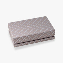 Load image into Gallery viewer, Presentation box for the Visconti Homo Sapiens Earth Origins Air. It is gray with a pattern composed of the Visconti "V" logo.