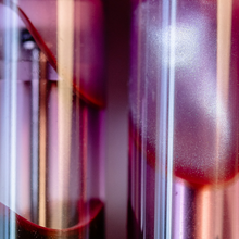 Load image into Gallery viewer, Close up to the Visconti Homosapiens Iris Garden Pen barrel.