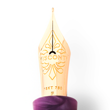 Load image into Gallery viewer, Visconti Homosapiens Iris Garden Fountain Pen Nib closeup. It has an engraved decoration with the word VISCONTI in it, followed by 18KT 750, and then F for fine point.