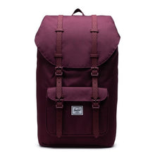 Load image into Gallery viewer, Front view of the fig colored backpack.