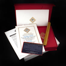 Load image into Gallery viewer, AP Limited Editions - Color of the Cosmos "Solaris" (Yellow) Fountain Pen