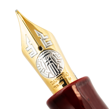 Load image into Gallery viewer, Nib Close-Up