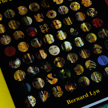 Load image into Gallery viewer, Maki-e, an art for the soul. The Danitrio Maki-e Collection Book