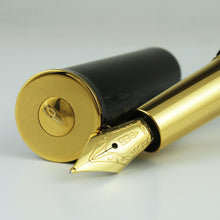 Load image into Gallery viewer, Delta Limited Edition Celluloid Papilon Emerald Green Fountain Pen - #11/100 (M Nib)