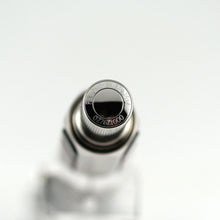 Load image into Gallery viewer, Graf von Faber-Castell Pen of the Year 2014 Catherine Palace Platinum Fountain Pen