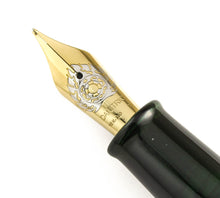 Load image into Gallery viewer, DANITRIO Dragon and Phoenix Sho-Hakkaku Fountain Pen (N-813)