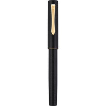 Load image into Gallery viewer, Pilot Ishime Fountain Pen