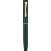 Load image into Gallery viewer, Pilot Ishime Fountain Pen