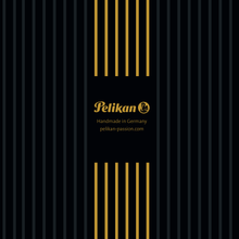 Load image into Gallery viewer, Pelikan Limited Edition M800 40 Years of Souveran Fountain Pen
