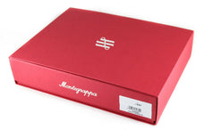 Load image into Gallery viewer, Montegrappa Limited Edition Dante Alighieri Inferno Silver Fountain Pen