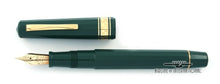 Load image into Gallery viewer, OMAS 1990 WORLD CUP SOCCER CHAMPION ITALIA FOUNTAIN PEN - M