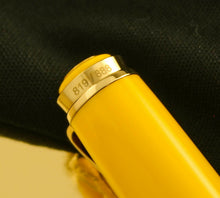 Load image into Gallery viewer, Pelikan M800 Kirin Limited Edition Fountain Pen w/ Collector Book