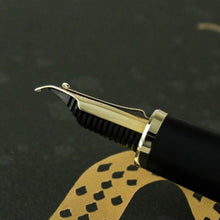 Load image into Gallery viewer, Close up to the side panel of the nib.