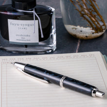 Load image into Gallery viewer, Pilot Vanishing Point SE Fountain Pen | Marble Black (Fine Nib)