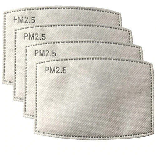 Zorbitz PM2.5 Carbon Filters