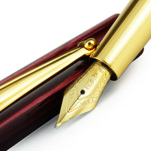 Load image into Gallery viewer, Angled close up on the fountain pen. 
