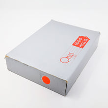 Load image into Gallery viewer, Omas Mille Miglia Silver Limited Edition Fountain Pen - F
