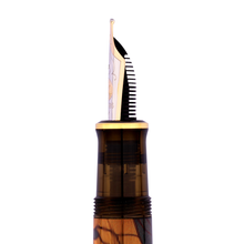 Load image into Gallery viewer, Fountain pen side view with detailed design on a white background
