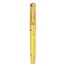 Load image into Gallery viewer, Pelikan M200 Pyrite Special Edition Fountain Pen
