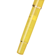 Load image into Gallery viewer, Pelikan M200 Pyrite Special Edition Fountain Pen
