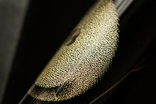 Load image into Gallery viewer, Namiki Yukari Royale Chinkin Cat Medium Fountain Pen
