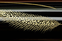 Load image into Gallery viewer, Namiki Yukari Royale Chinkin Cat Medium Fountain Pen
