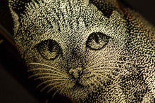 Load image into Gallery viewer, Namiki Yukari Royale Chinkin Cat Medium Fountain Pen

