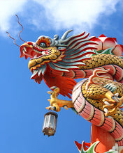 Load image into Gallery viewer, Visconti Year of the Dragon
