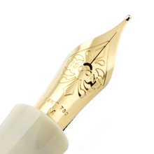 Load image into Gallery viewer, Visconti Limited Edition Alexander the Great Fountain Pen 18KT 750 Gold Nib
