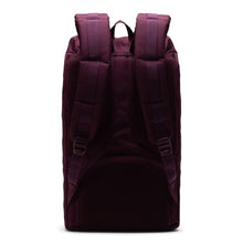 Load image into Gallery viewer, Back panel view of the fig colored backpack.
