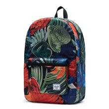 Load image into Gallery viewer, Front view of the Watercolor Packable Daypack.
