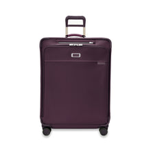 Load image into Gallery viewer, Baseline Large Expandable Spinner - Ltd. Edition Plum
