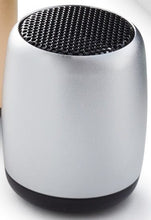 Load image into Gallery viewer, The silver speaker
