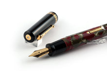 Load image into Gallery viewer, Delta Pompei Millennium Limited Edition Fountain Pen
