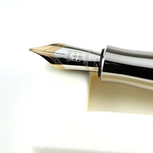Load image into Gallery viewer, Graf von Faber-Castell Pen of the Year 2014 Catherine Palace Platinum Fountain Pen
