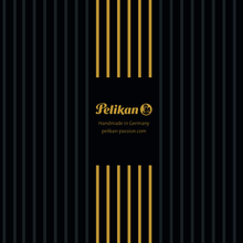 Load image into Gallery viewer, Pelikan Limited Edition M800 40 Years of Souveran Fountain Pen
