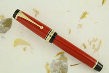 Load image into Gallery viewer, Front view of the fountain pen on a white background with dry foliage. 

