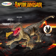 Load image into Gallery viewer, R/C Dinosaur Remote Control Raptor

