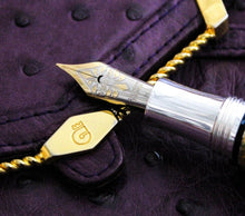 Load image into Gallery viewer, Visconti Casa Batlló Limited Edition Fountain Pen 
